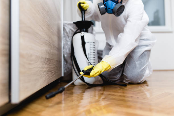 Best Affordable Pest Control Services  in Meadville, PA
