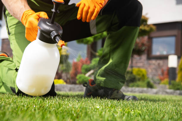 Best Affordable Pest Control Services  in Meadville, PA