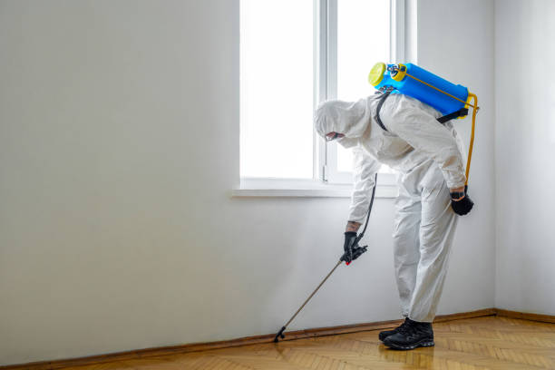Insect Control in Meadville, PA