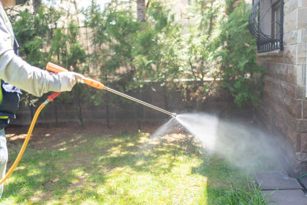 Best Affordable Pest Control Services  in Meadville, PA