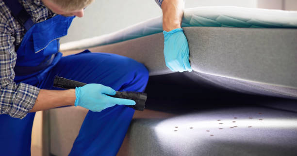 Best Cockroach Control Services  in Meadville, PA