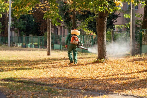 Best Wildlife Control Services  in Meadville, PA
