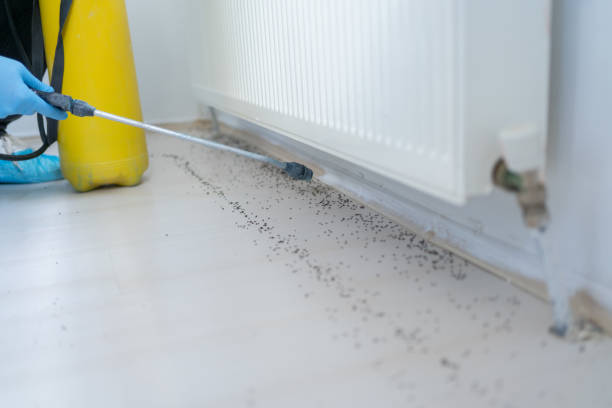  Meadville, PA Pest Control Pros