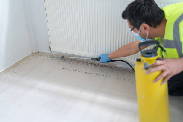 Best Emergency Pest Control  in Meadville, PA